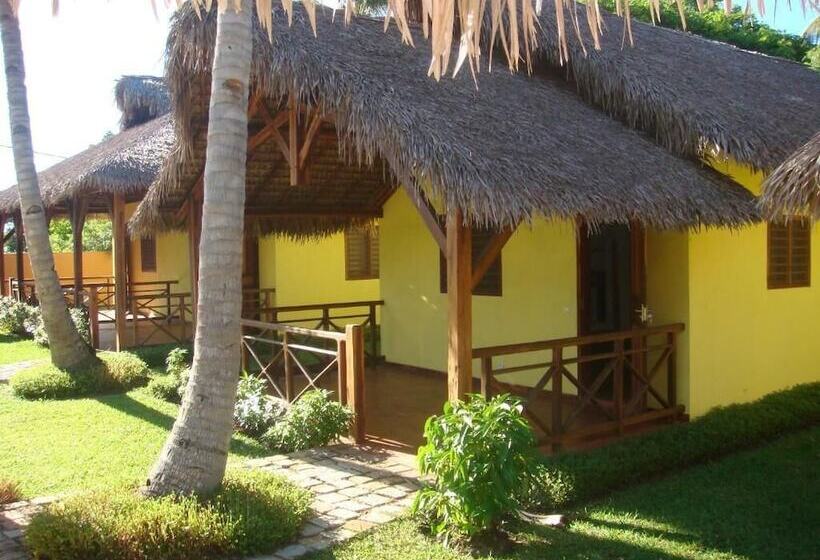 هاستل Cocotier Lodge