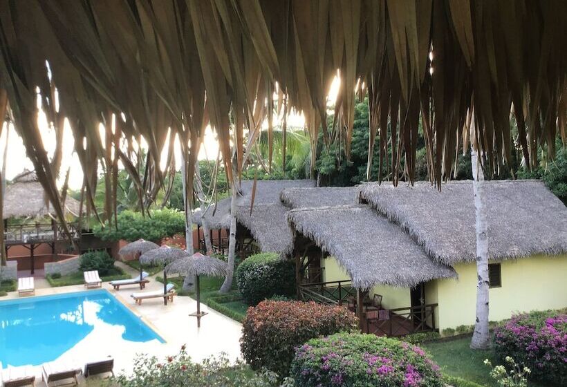 هاستل Cocotier Lodge