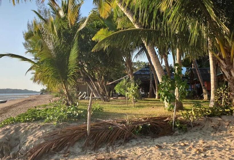 هاستل Cocotier Lodge