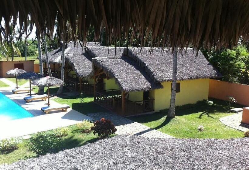 هاستل Cocotier Lodge