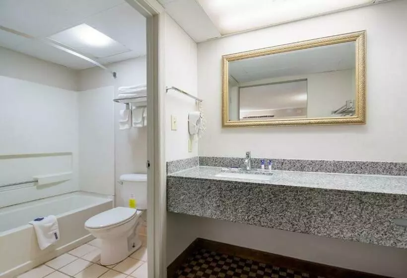 ホテル Americas Best Value Inn Wadesboro