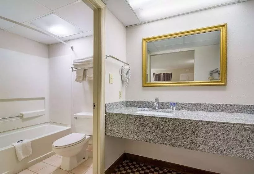 ホテル Americas Best Value Inn Wadesboro