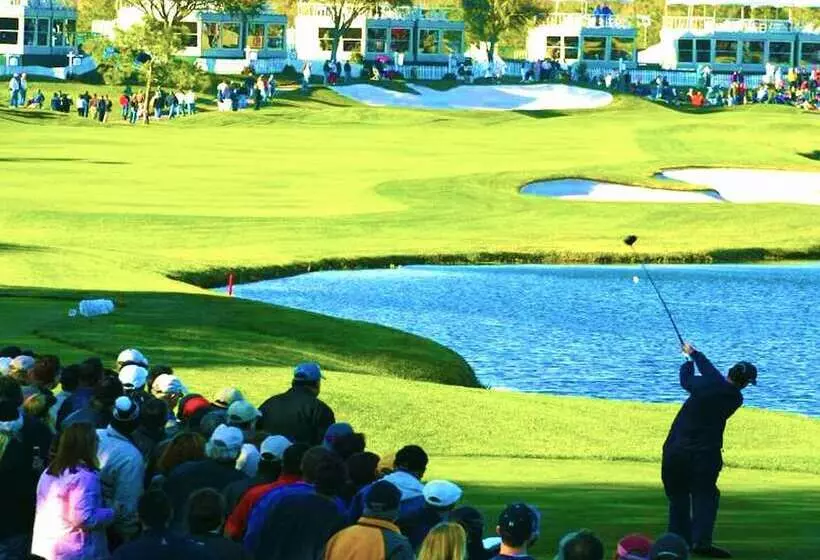 ホテル Springhill Suites By Marriott Tampa Suncoast Parkway