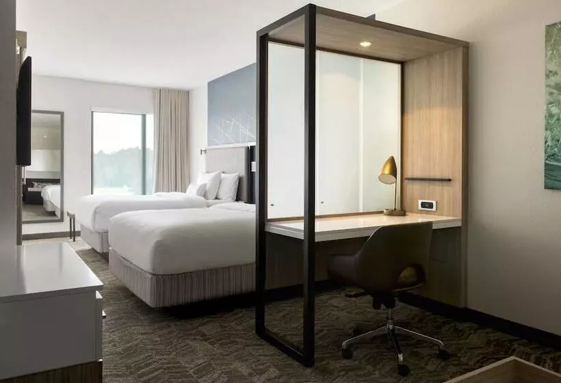 ホテル Springhill Suites By Marriott Tampa Suncoast Parkway
