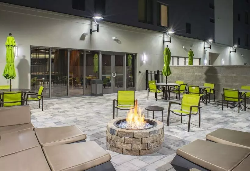 ホテル Springhill Suites By Marriott Tampa Suncoast Parkway