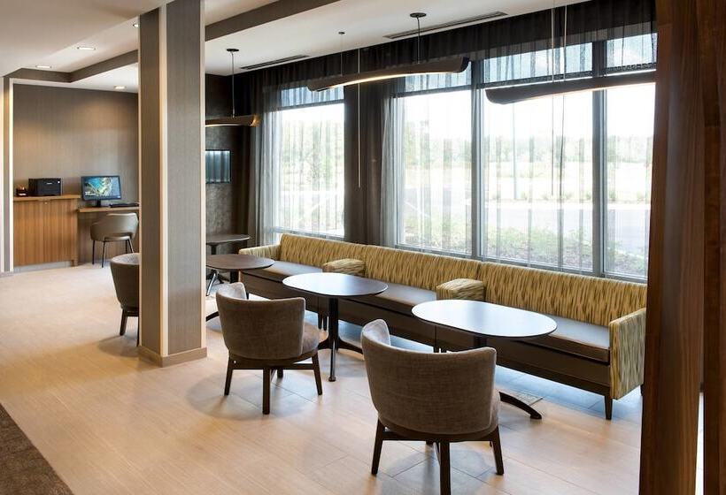 호텔 Springhill Suites By Marriott Tampa Suncoast Parkway