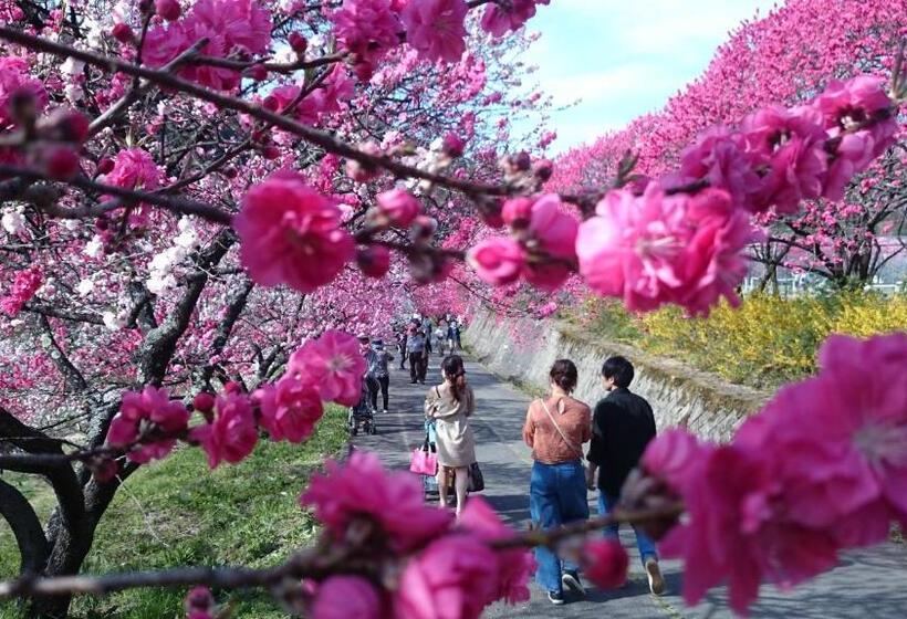 Pensió Guest House Minna No Ie