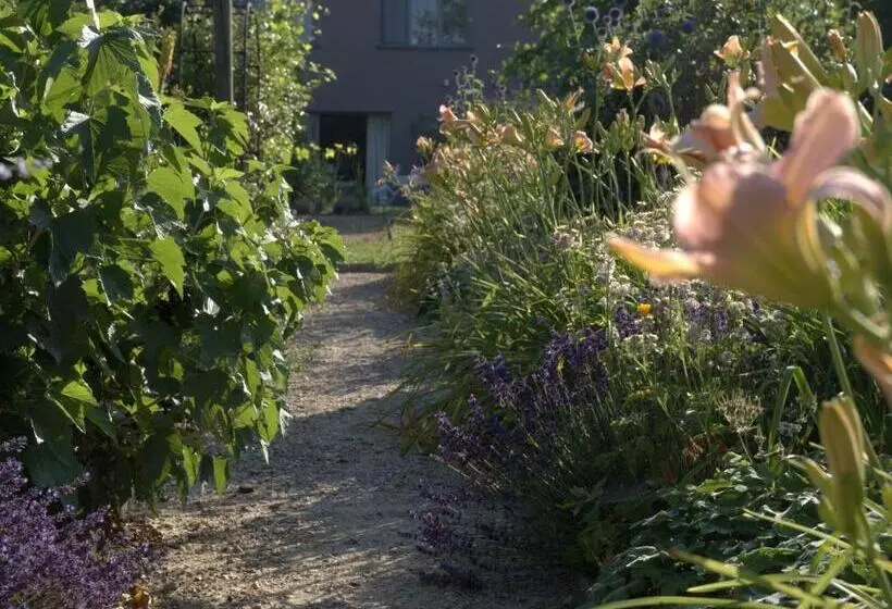 Barbara S Bed & Breakfast