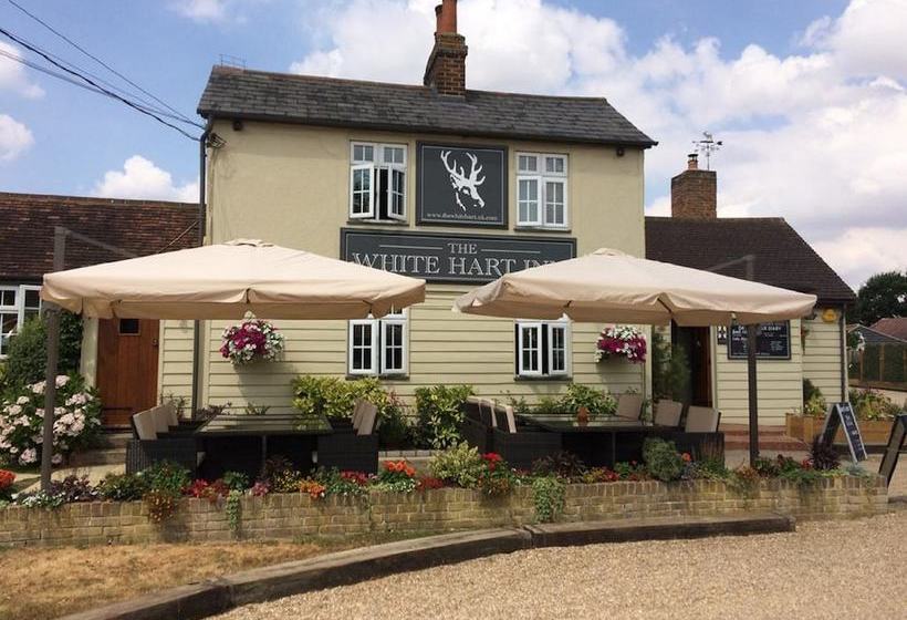 The White Hart B&b