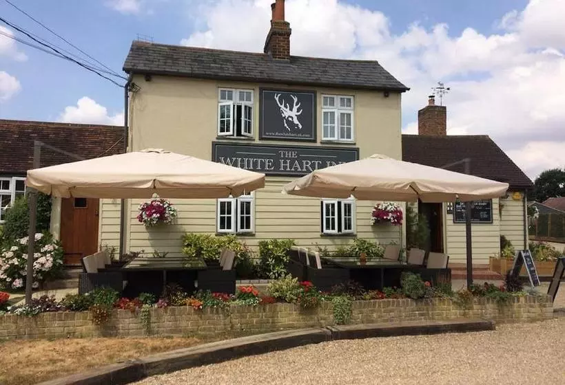 The White Hart B&b