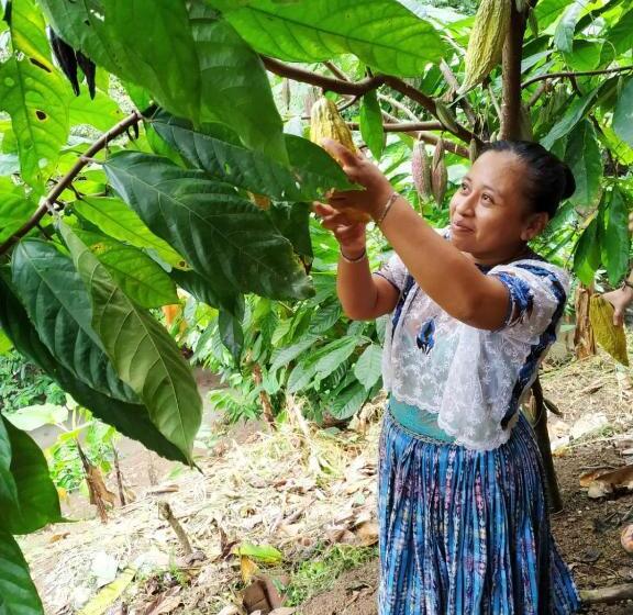 Ch'i Bocól Community Hostel