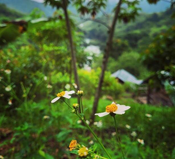 Ch'i Bocól Community Hostel