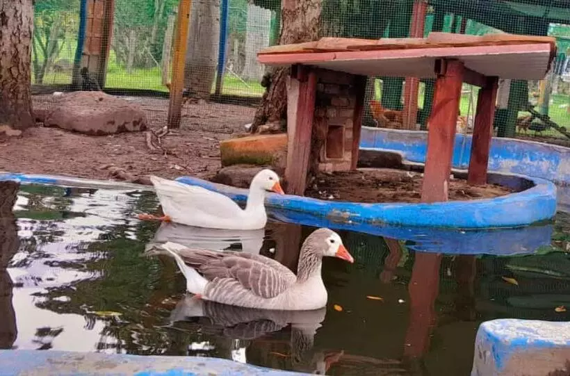 Hotelli Hosteria Campestre San Fermin