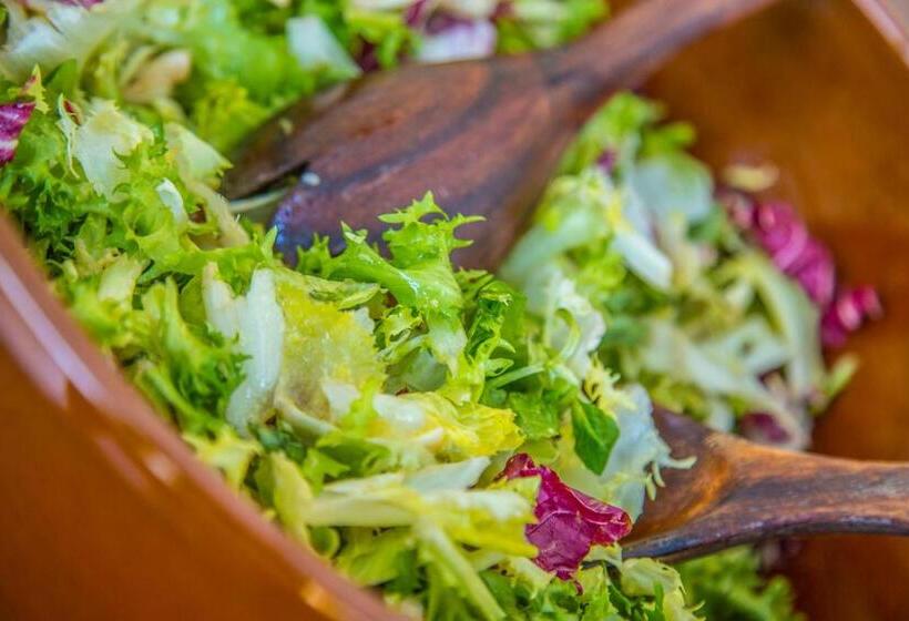 مبيت وإفطار Barvicka