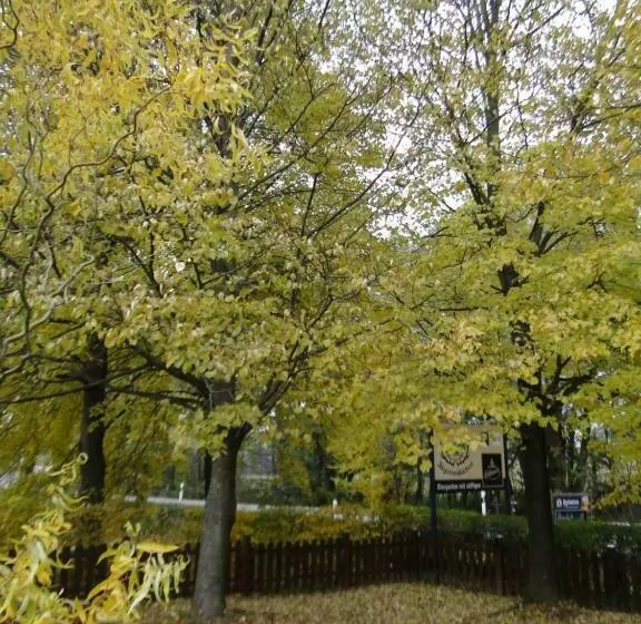 Gaststätte & Pension Jägerwäldchen