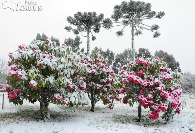 Hotelli Altos Da Serra