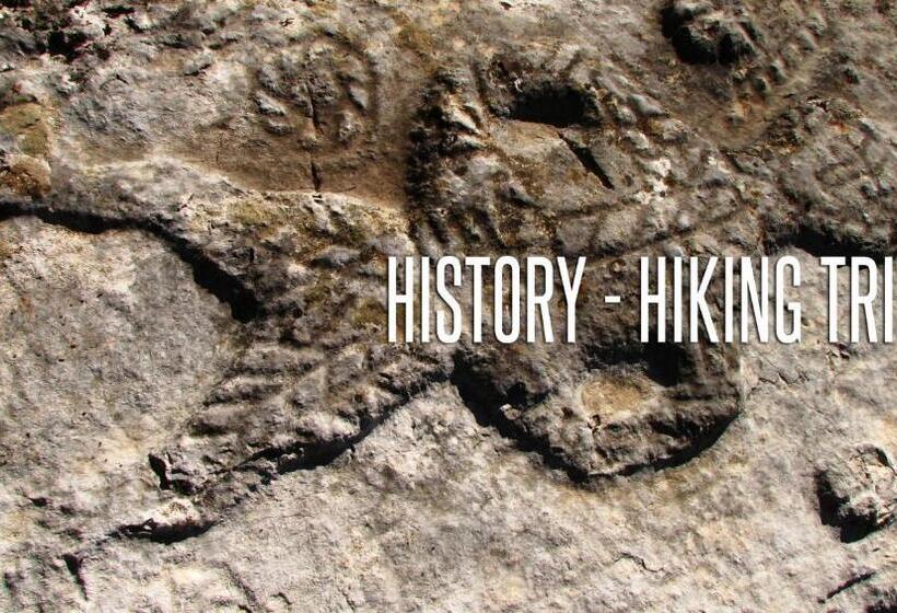 هاستل Guesthouse Zvono