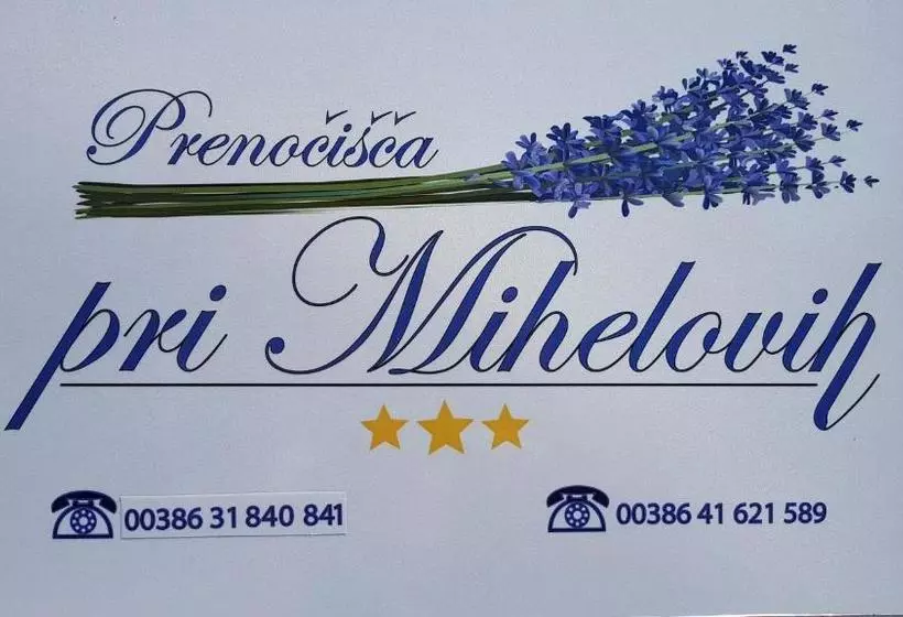 تختخواب و صبحانه Guesthouse Pri Mihelovih