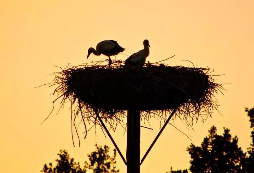 Bed and Breakfast Kasteel Sterkenburg