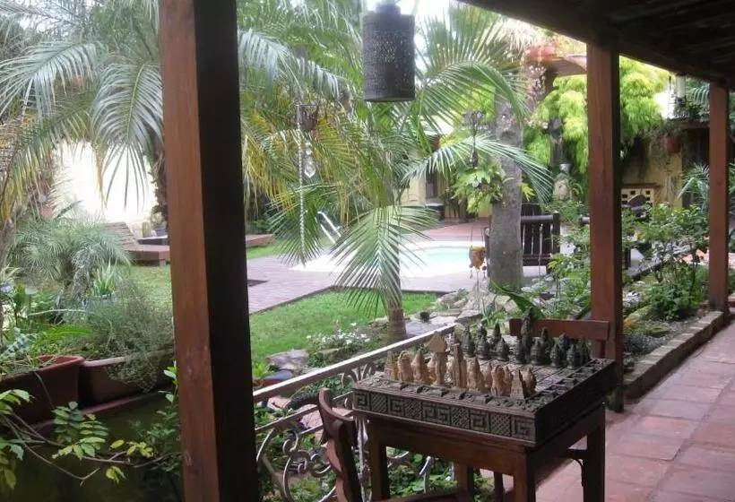 Bed & Breakfast El Bambu