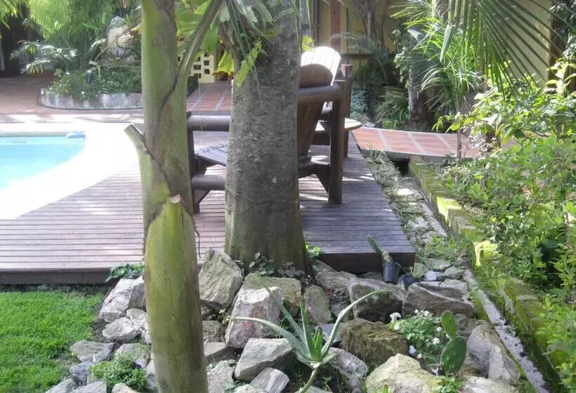 Bed & Breakfast El Bambu