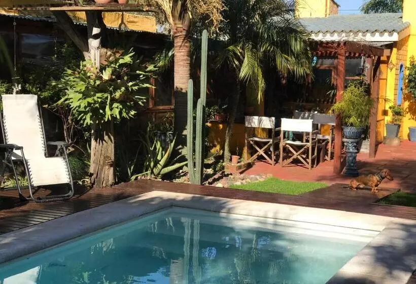 Bed & Breakfast El Bambu