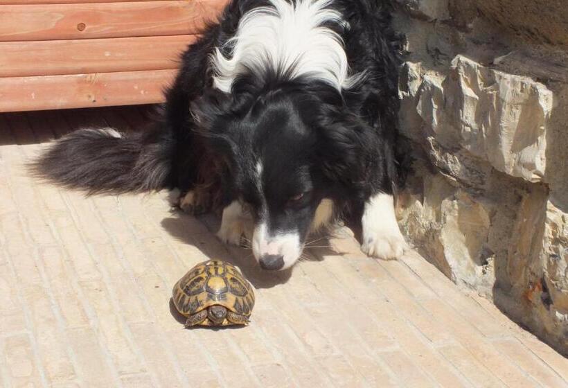 호텔 Casetta Dell`uliveto