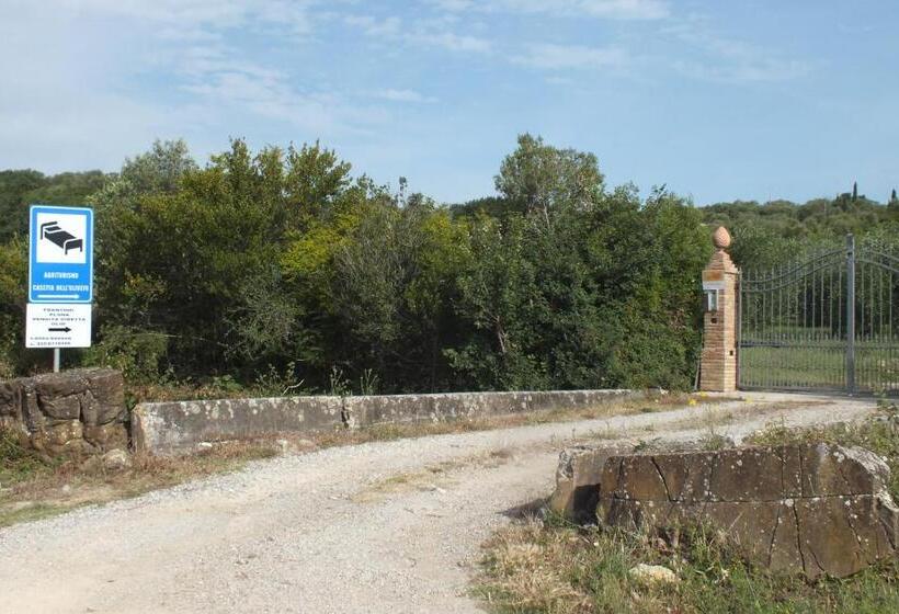 호텔 Casetta Dell`uliveto