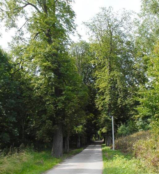 ホテル Restaurant La Ferme De Grambais