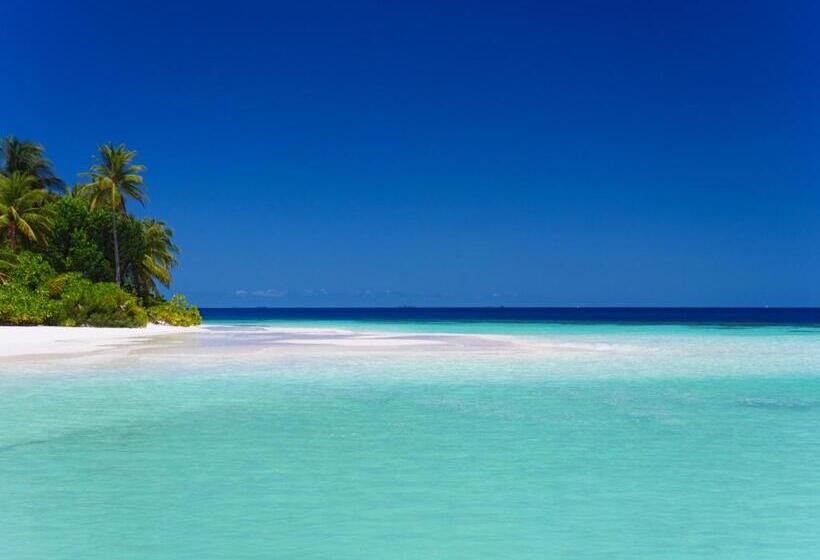 Mirihi Island Resort