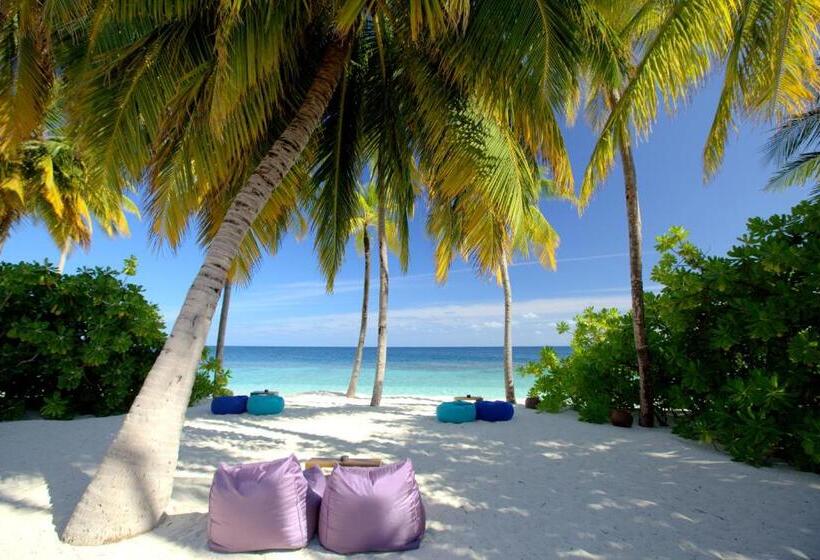 Mirihi Island Resort