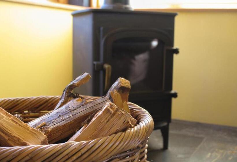 פנסיון Bryngolau