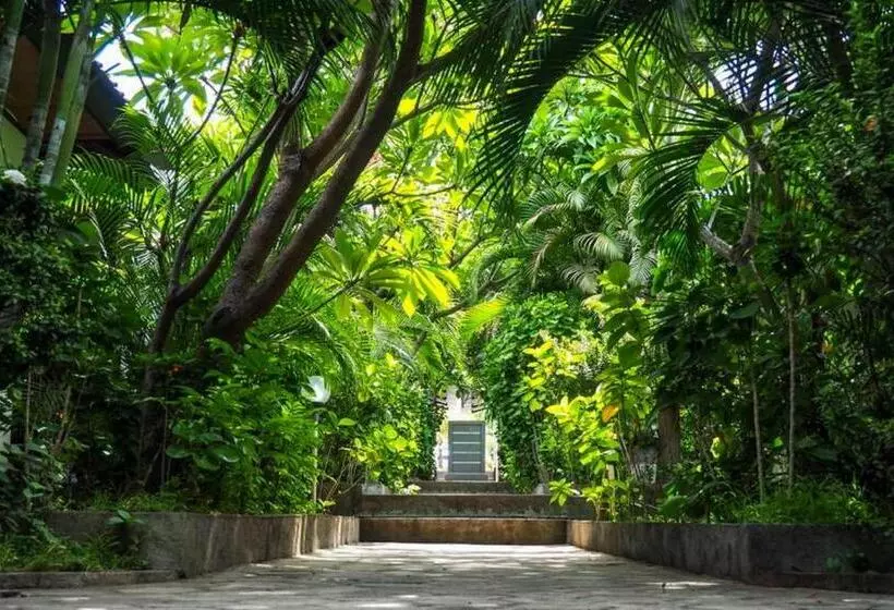 Aamiaismajoitus (B&B) Scuba Tribe Bali Dive Resort