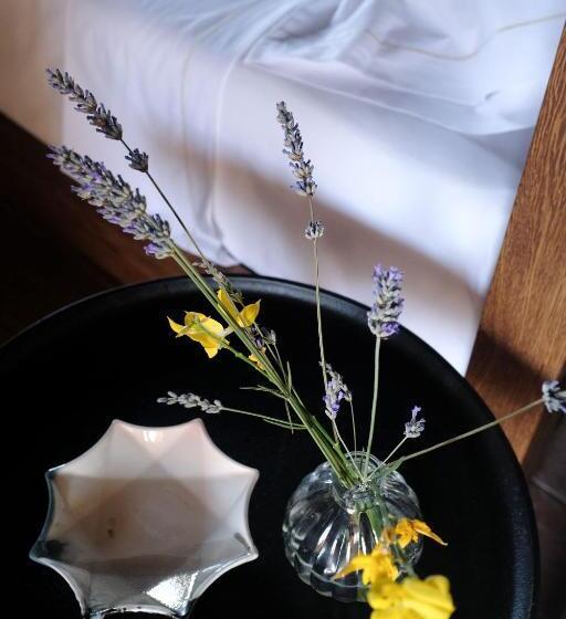 酒店 Borgo Castello Panicaglia