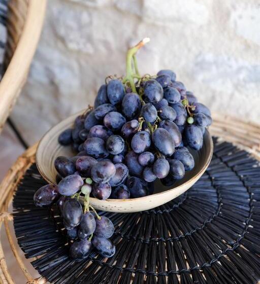 酒店 Borgo Castello Panicaglia