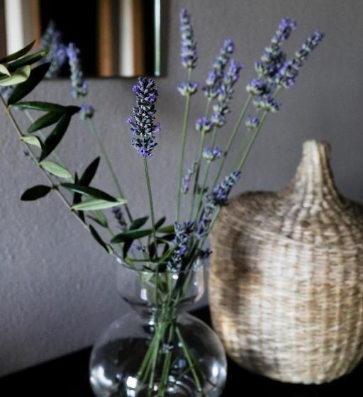 酒店 Borgo Castello Panicaglia