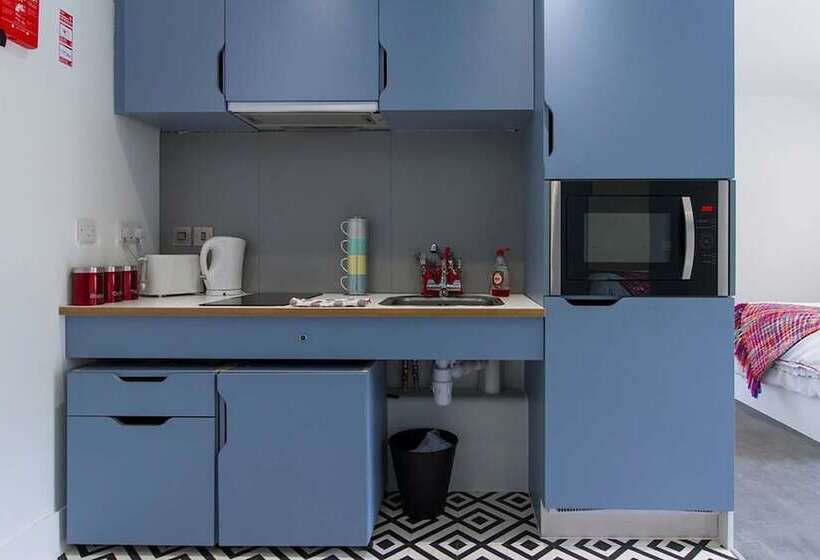 هاستل Axo Shelbourne