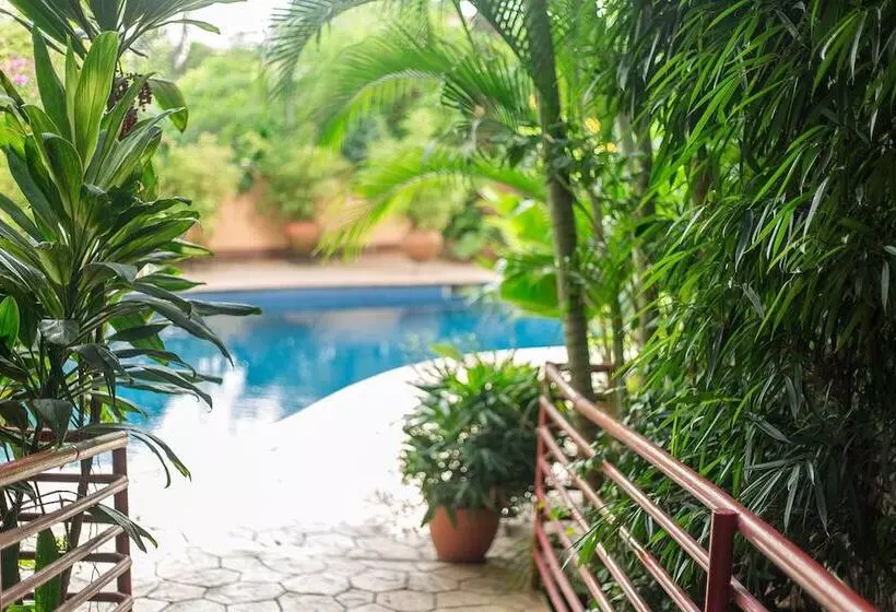 La Cour Hotels And Apartments Glover