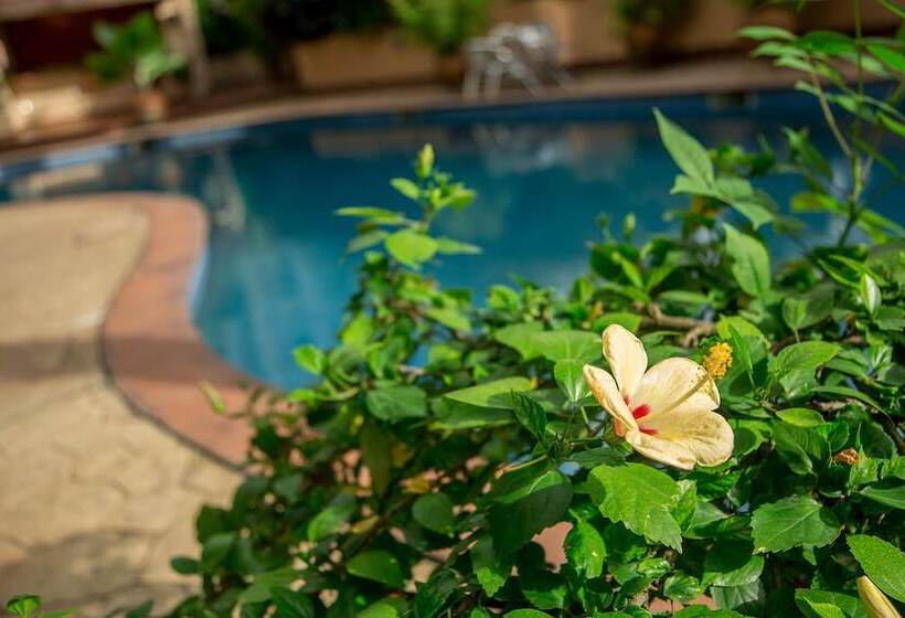 La Cour Hotels And Apartments Glover