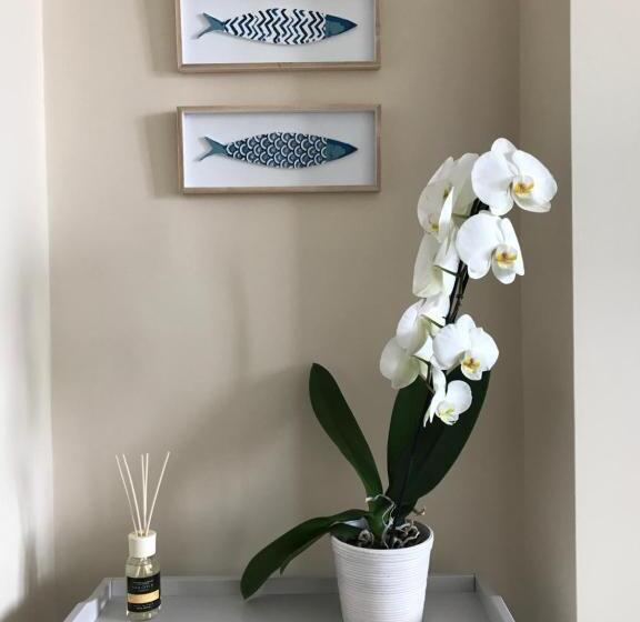 Pensjonat Bluripa Guesthouse