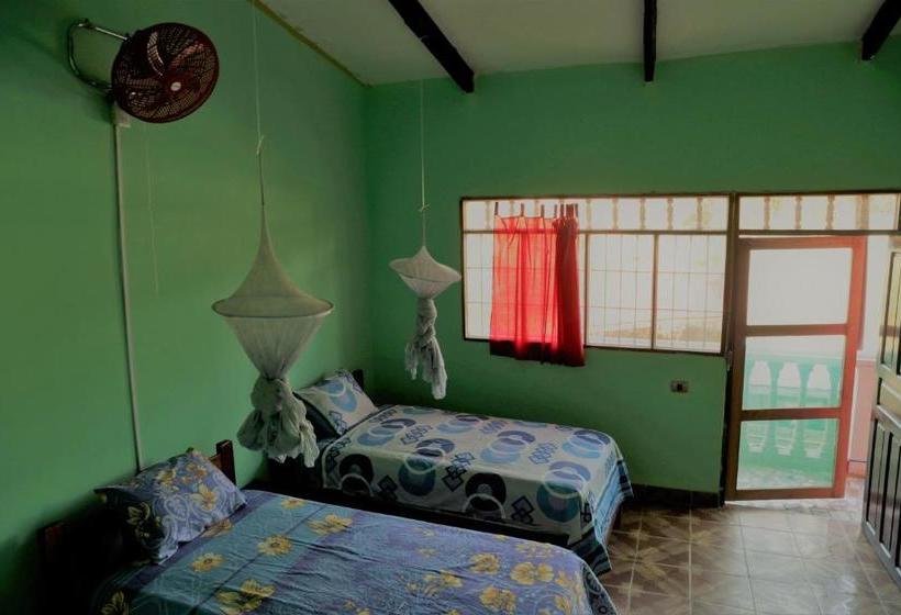 Pensjonat Perezoso Hostel