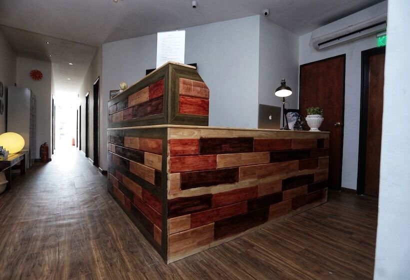 The Bedpackers Hostel