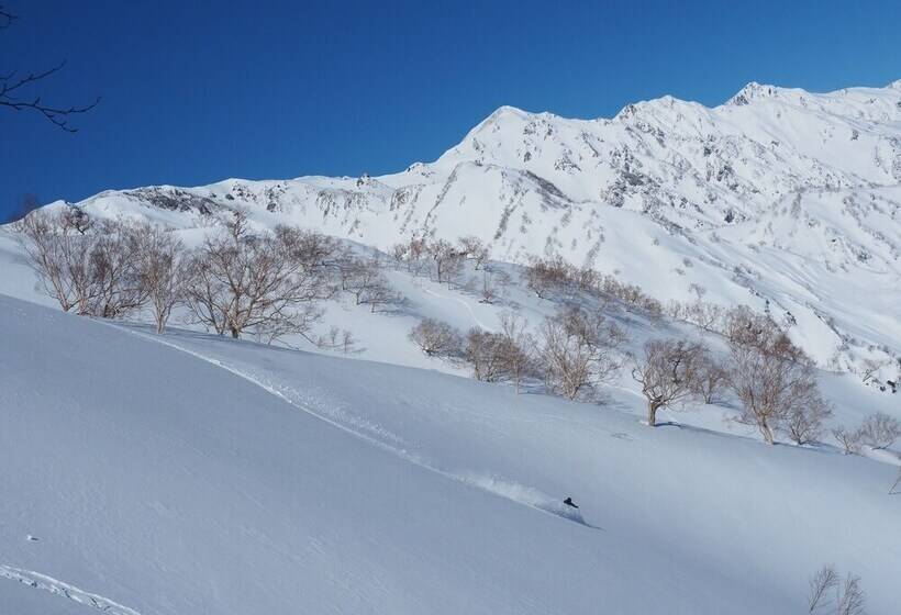 Bed and Breakfast Chillps