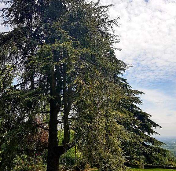 ベッドアンドブレックファースト Villa La Palazzina