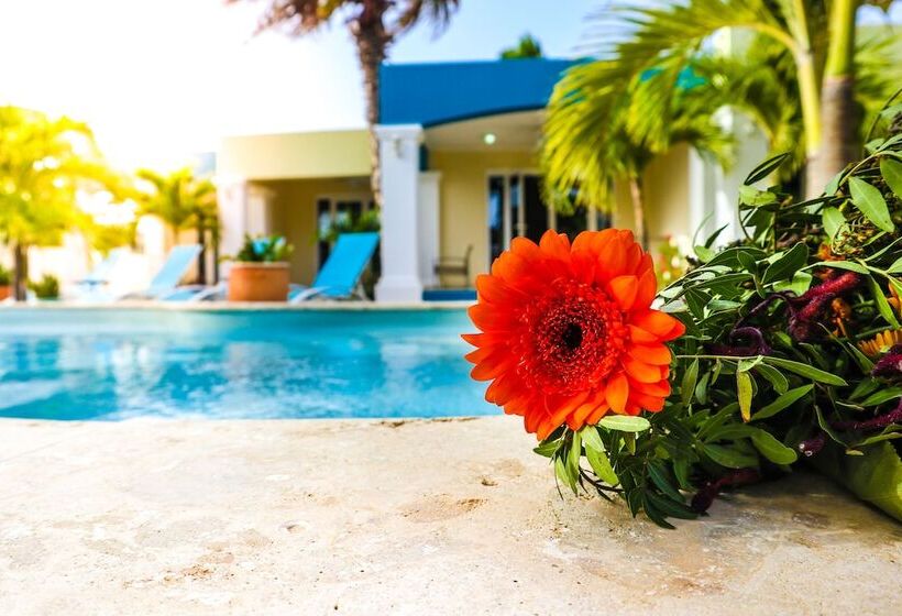 هتل Aqua Viva Suites