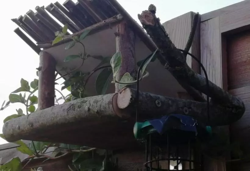 ベッドアンドブレックファースト Buckton Farmhouse