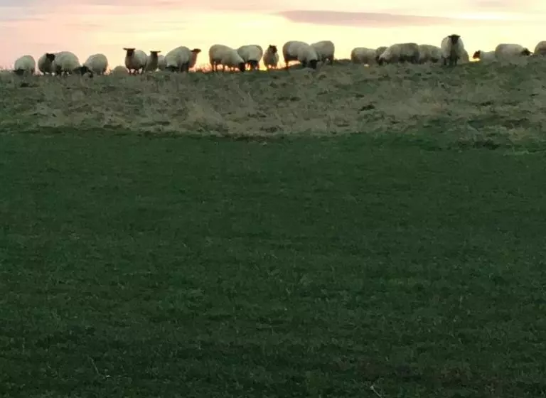 ベッドアンドブレックファースト Buckton Farmhouse