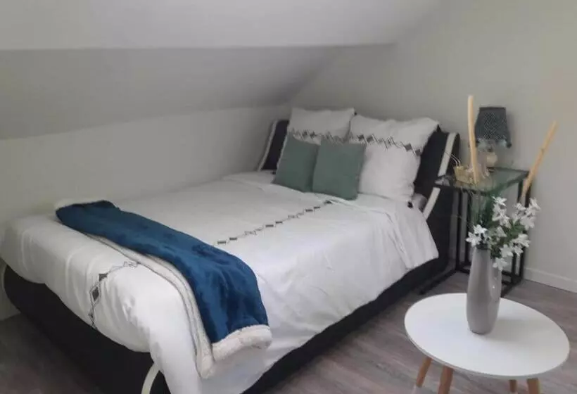 Cosy Studios   La Gambeta