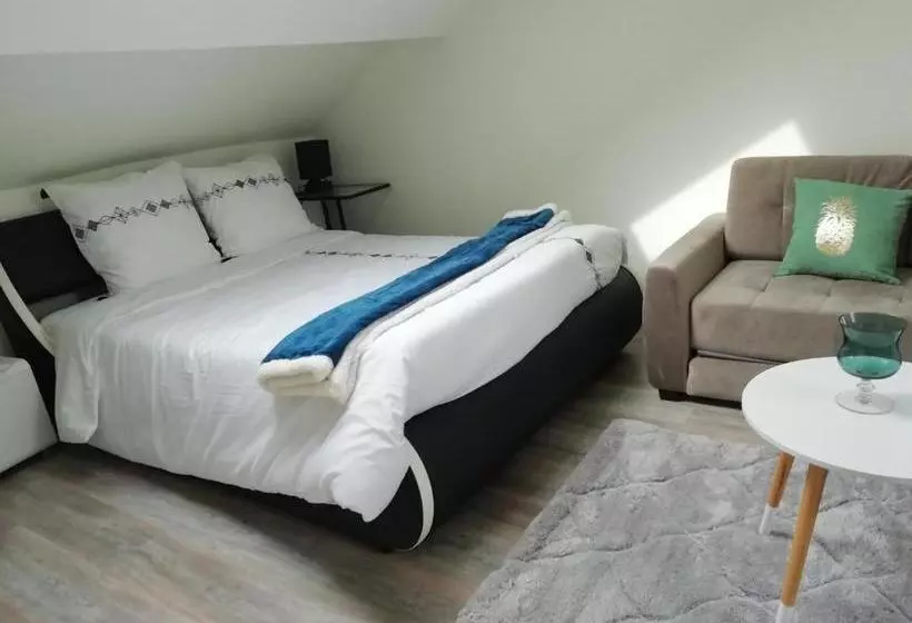 Cosy Studios   La Gambeta