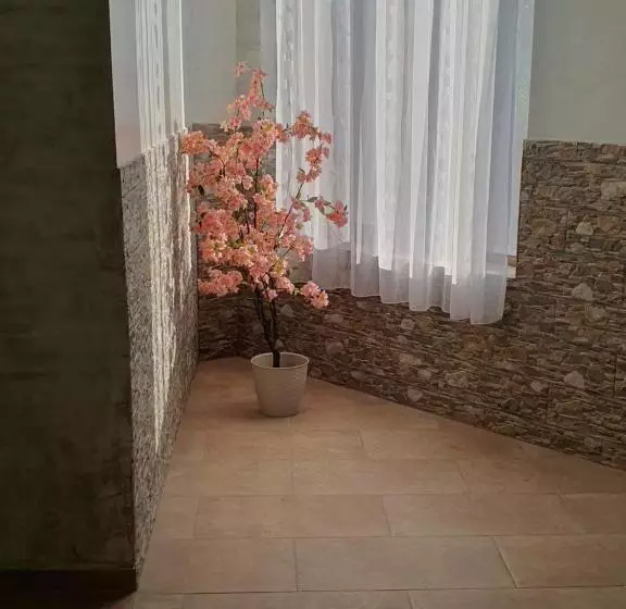 ペンション Casa Roua